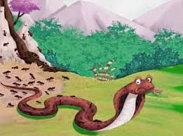 La cobra real y las hormigas