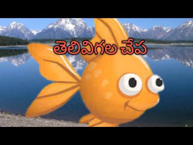 తెలివిగల చేప