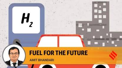 India's Energy Security in the Future