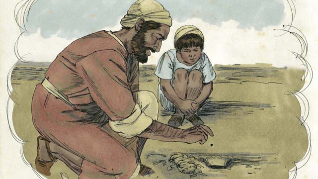 যীশু অন্য কাহিনীসমূহ দ্বারা শেখান