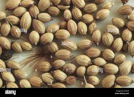 கொரந்திப்பழம்