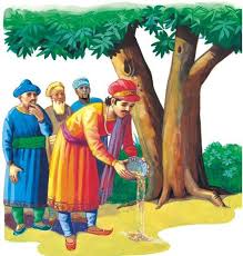 साखर आणि माती