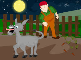 दवबिंदू आणि गाढव