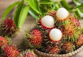 ரம்புட்டான் பழம்