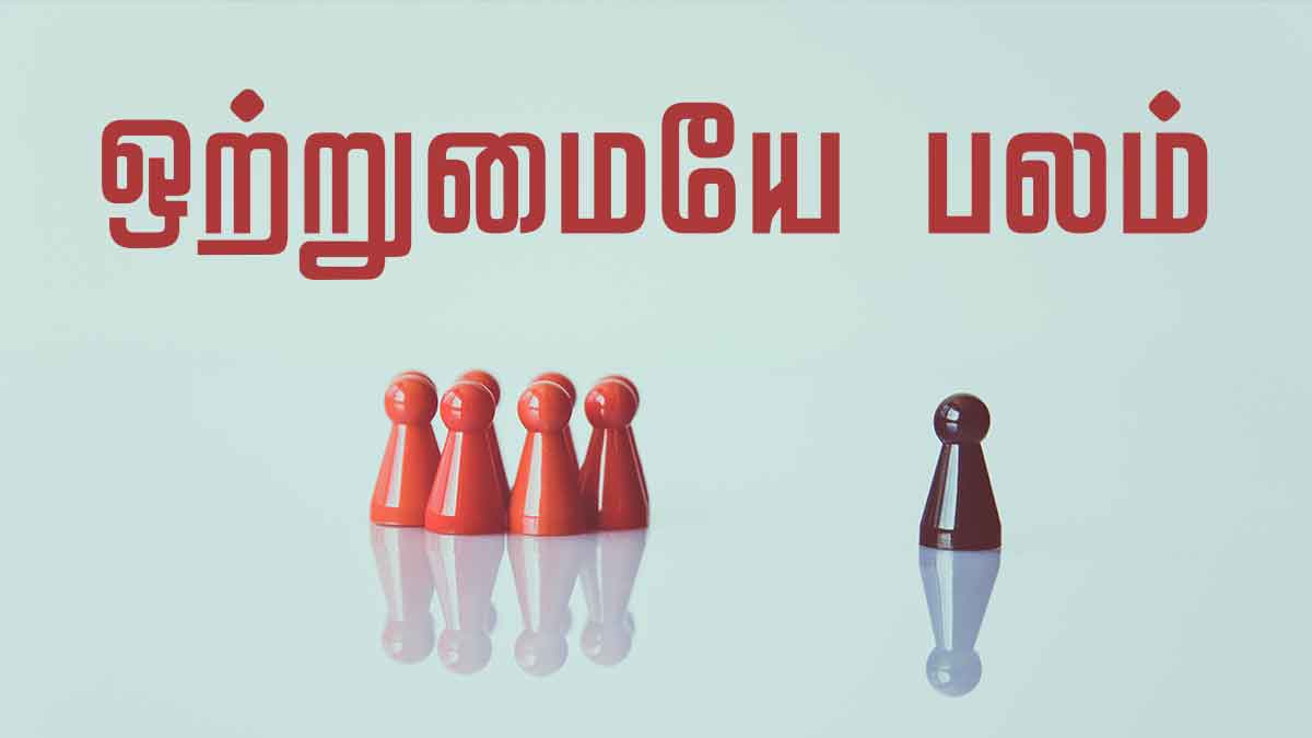 ஒற்றுமையே பலமாம்