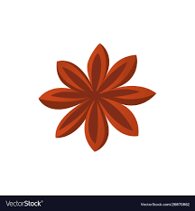 Star Anise