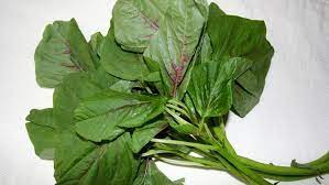 முளைக்கீரை