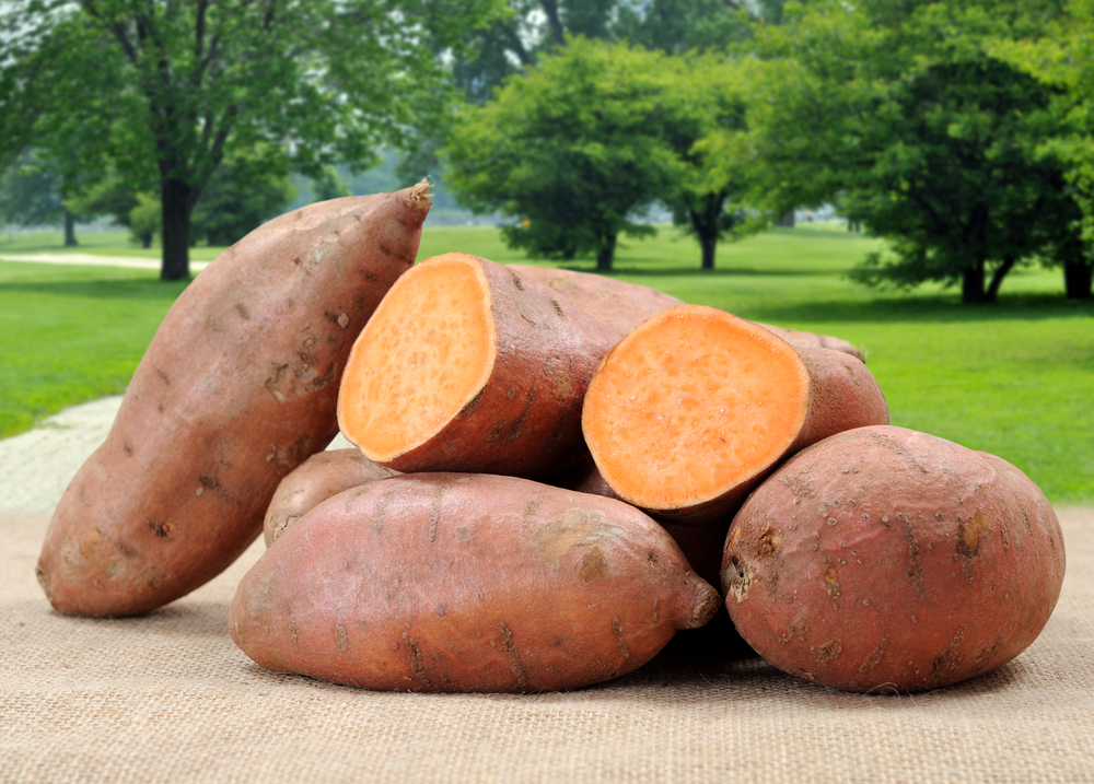 Sweet Potatoes to Fight Dull Locks