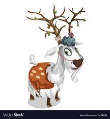 धूर्त बोकड