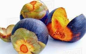 பனம் பழம்