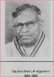 தெ. பொ. மீனாட்சிசுந்தரம்