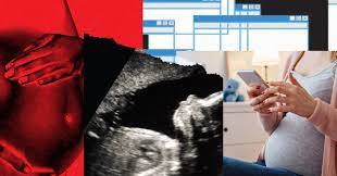 Make use of the internet to gain more information about pregnancy