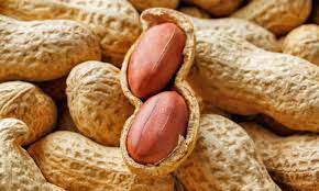 நிலக்கடலை