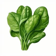 त्‍वचा की समस्‍या में लाभकारी