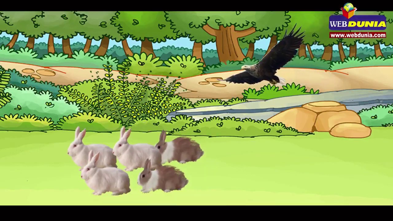 नकल में भी अकल चाहिए