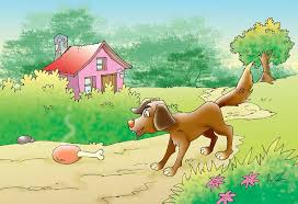 लालची कुत्रा