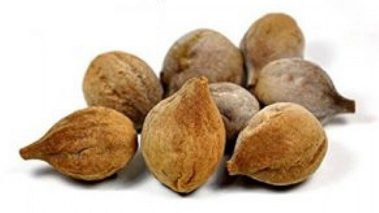 தான்றிக்காய்