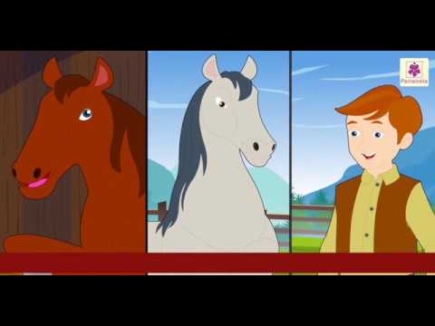 बादल और राजा – दो घोड़ों की कहानी