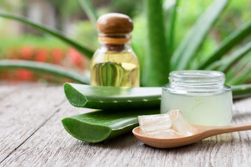 Aloe vera