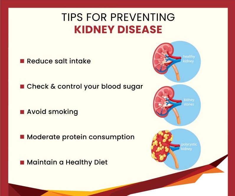 Tips to avoid Renal Diseases