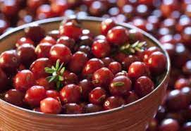 குருதிநெல்லி