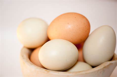 Count on eggs