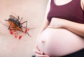 Preventing malaria