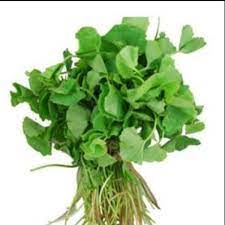 தண்டுக்கீரை