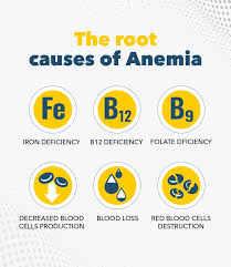 Anemia Causes
