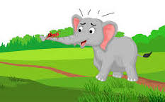 हुशार हत्ती