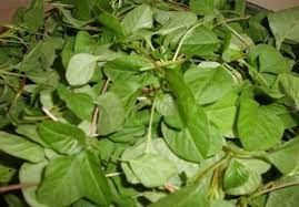 அரைக்கீரை