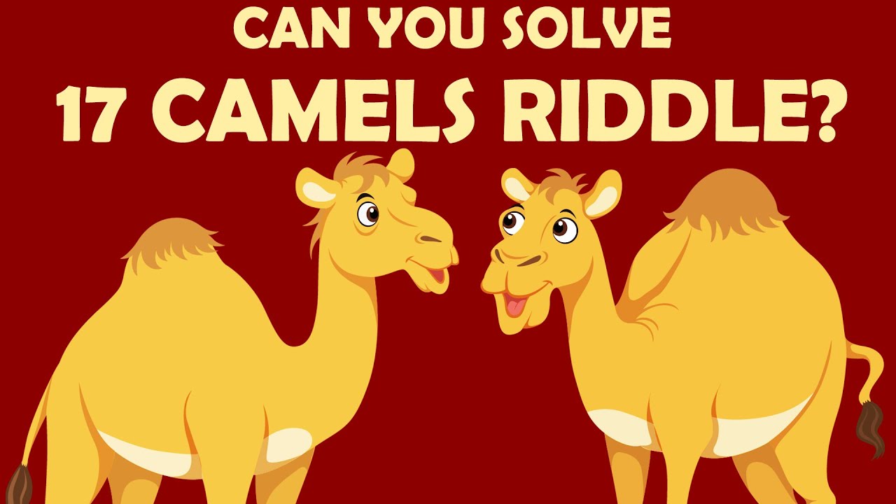 17 Camels and 3 Sons