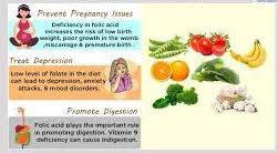 The importance of folic acid