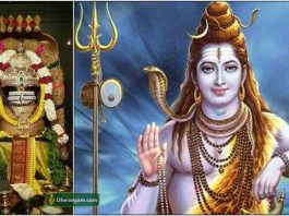 நீங்கள் ஒரு சிறந்த அதிபர்