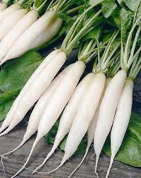 முள்ளங்கி