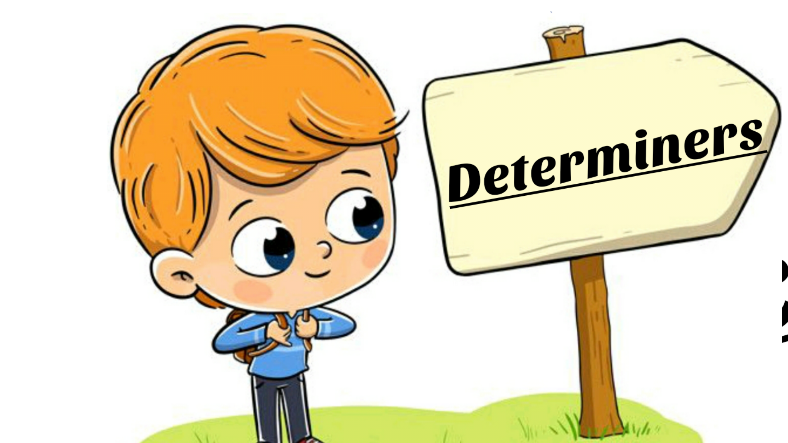Determiners