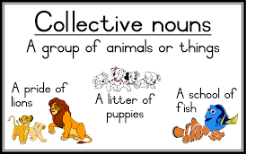 Collective Nouns