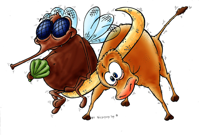 The Mosquito and The Bull