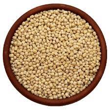 உளுந்து