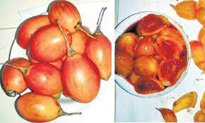 மரத்தக்காளி