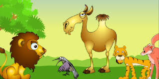 सिंह आणि मूर्ख उंट