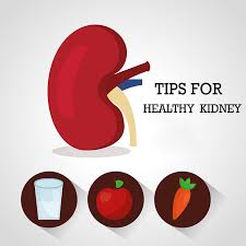 Tips to Keep Your Kidneys Healthy