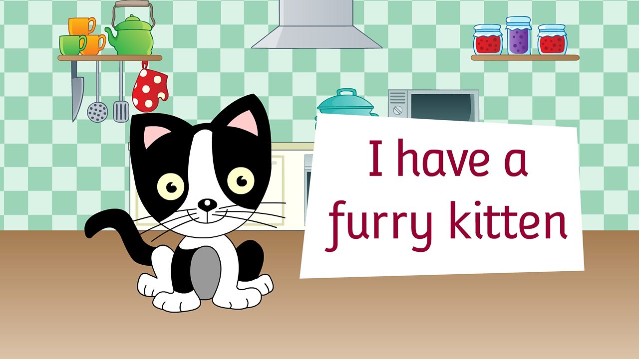 I have a furry kitten