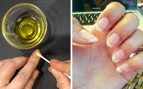 Olive Oil