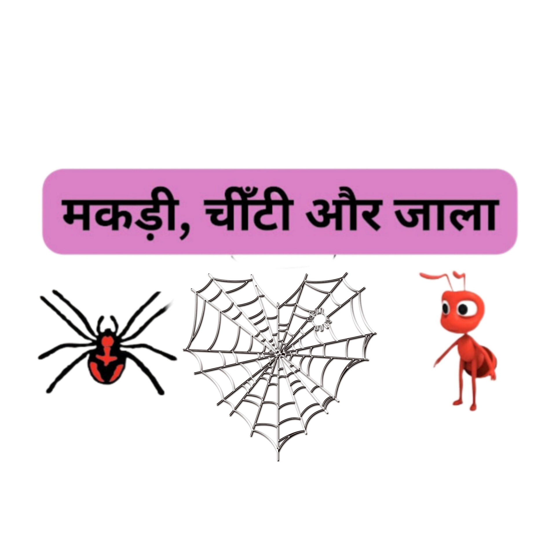 मकड़ी, चीँटी और जाला