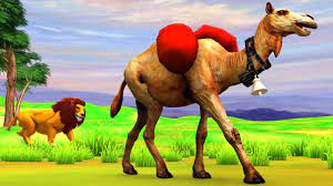 सिंह  आणि  मूर्ख  उंट