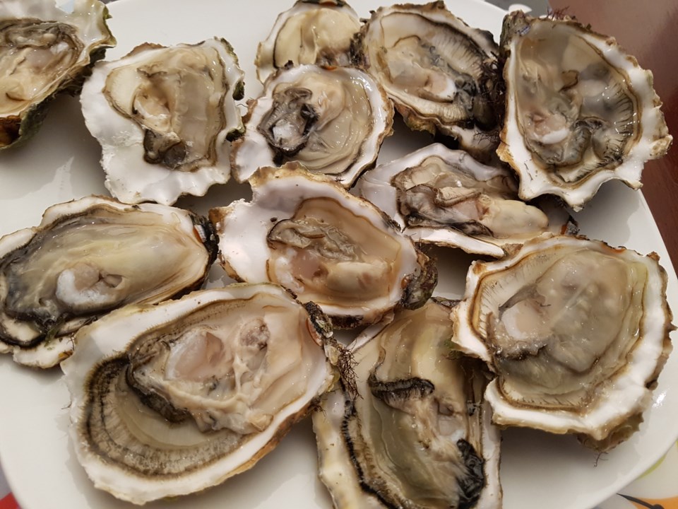 சிப்பிகள்