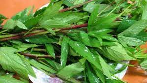 புளிச்சக்கீரை