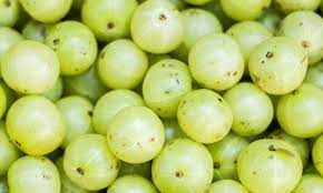 நெல்லிக்காய்