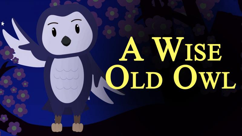 A Wise Old Owl